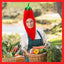 Funny Chili Hat Chili Costume Pepper Costume Novelty Hats Chili Dress Up